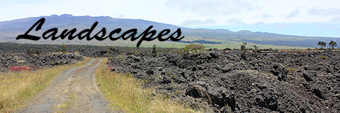 landscapes